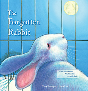 The Forgotten Rabbit