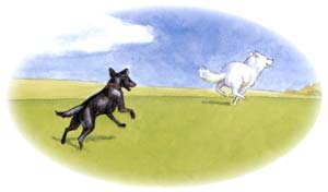 Artwork from At the Dog Park with Sam & Lucy